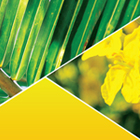 Logo per Agrotrading